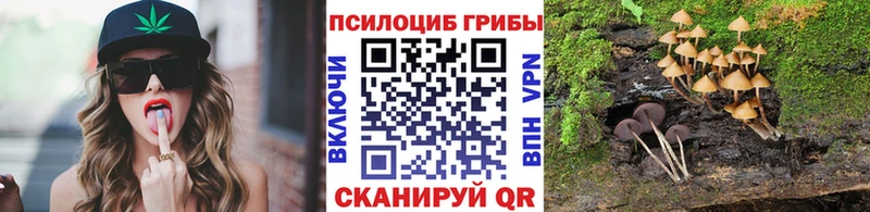 гидра ССЫЛКА  Задонск  Галлюциногенные грибы Psilocybe 